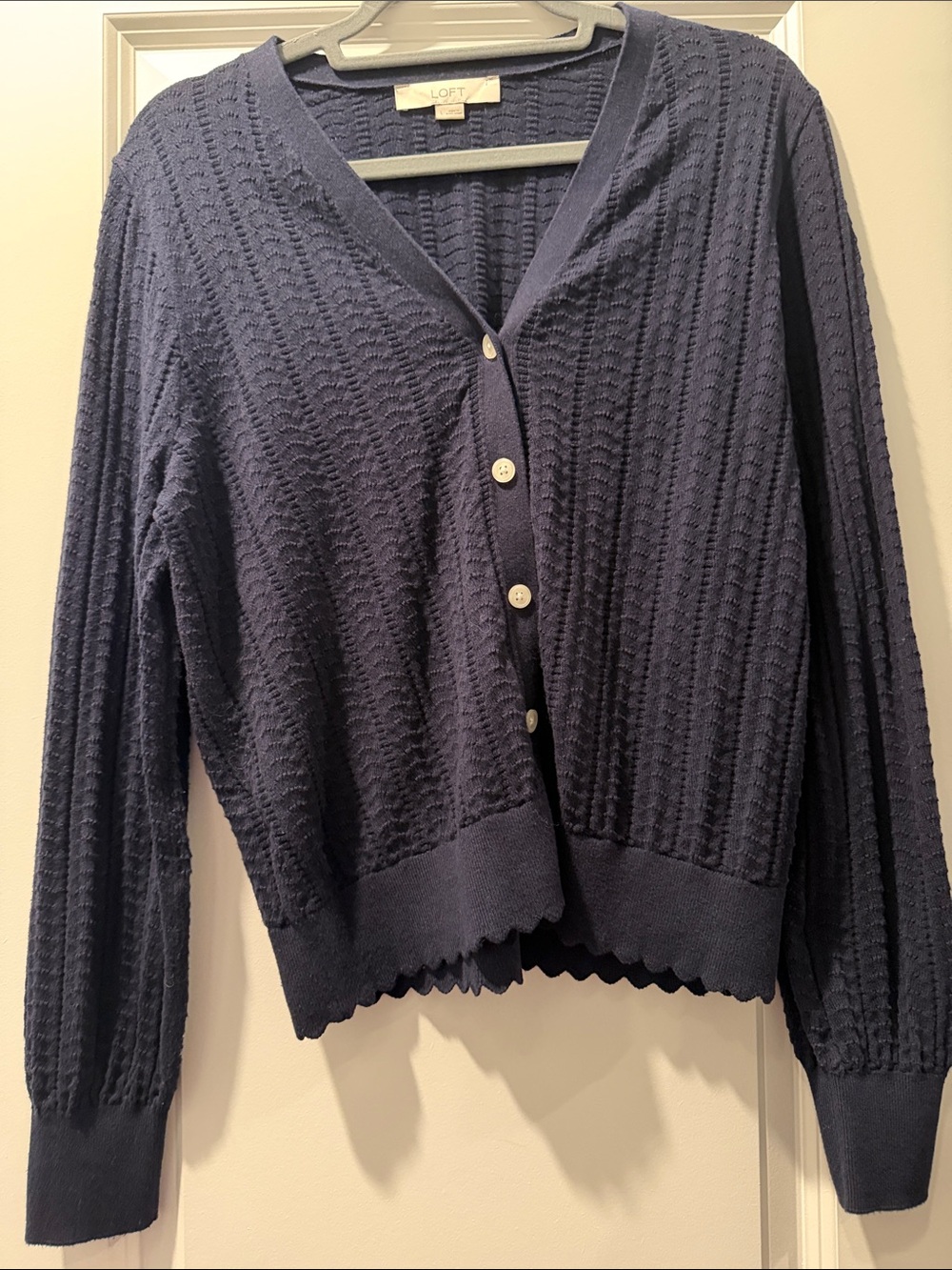 LOFT Navy Cable-Knit V Neck Sweater